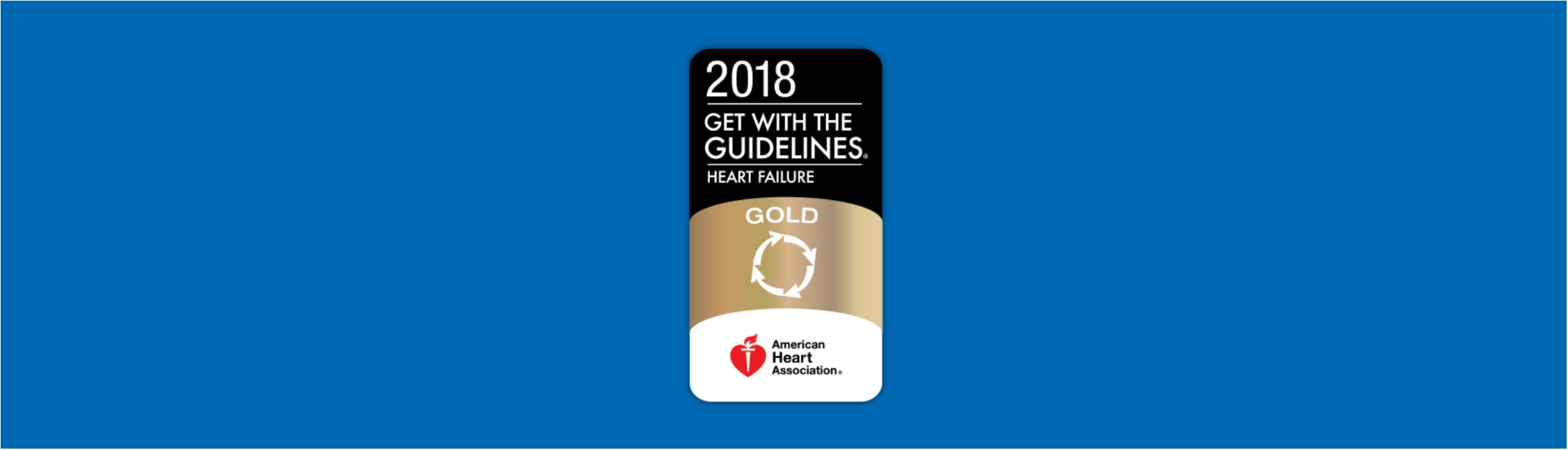 Get With The Guidelines-Heart Failure Gold Quality Achievement Award