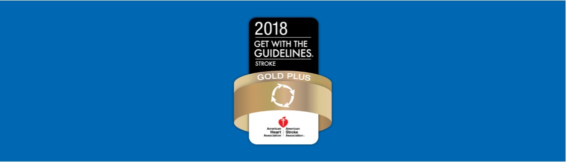 Get With The Guidelines-Stroke Gold Plus Quality Achievement Award