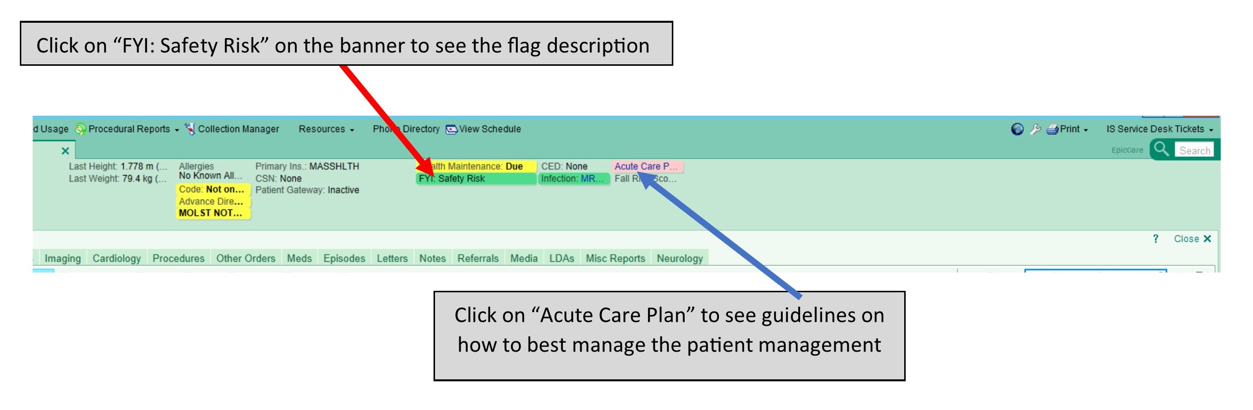 Safety Flag and Acute Care Plan in Epic