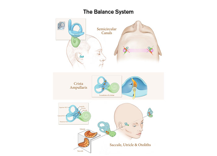 Balance Disorders